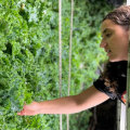Exploring the Farm-to-Table Scene in San Antonio