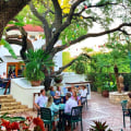 Exploring the Unique Dining Scene in San Antonio, Texas