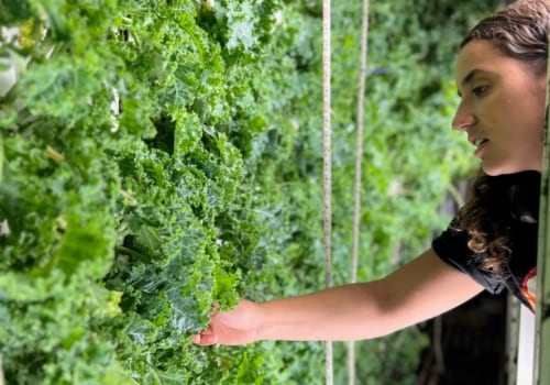 Exploring the Farm-to-Table Scene in San Antonio